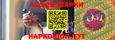 гашик Камышлов