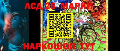 гашик Камышлов