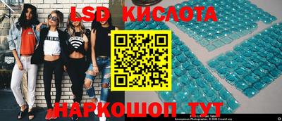 jwh Кандалакша