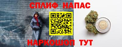 гашик Камышлов