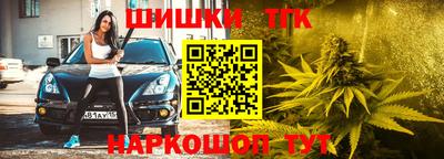 гашик Камышлов