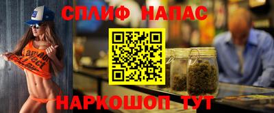 гашик Камышлов
