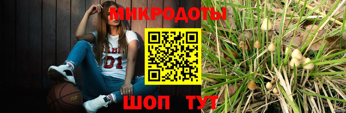 как найти закладки  Галлюциногенные грибы ЛСД  Вход с VPN  Кудымкар 